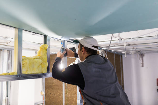 Best Insulation Maintenance and Repair in Belfair, WA