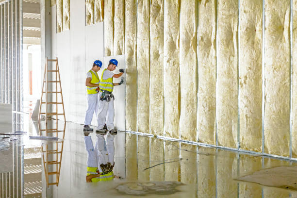 Best Cellulose Insulation in Belfair, WA
